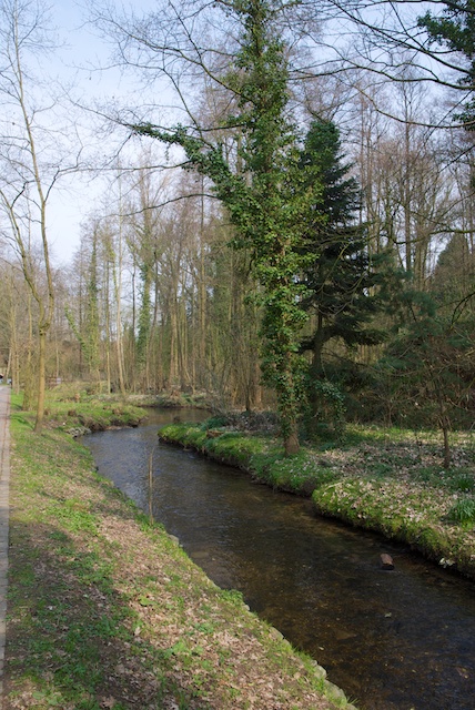 11. Schwalm*