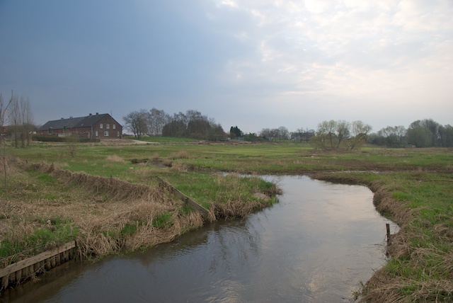 68. Swalm