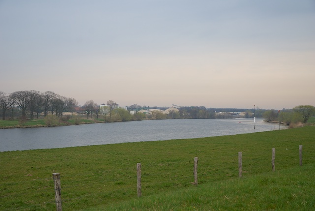 74. Maas