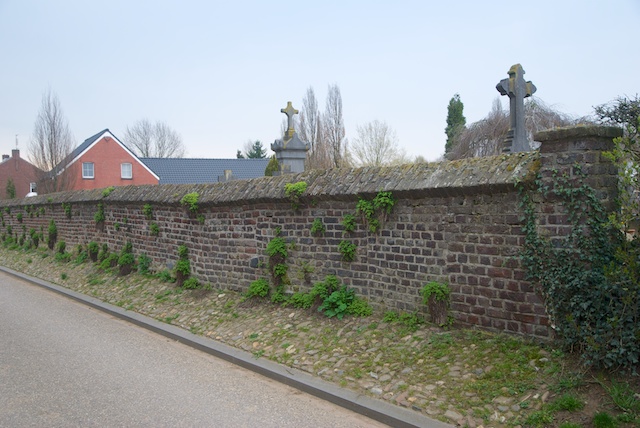75. Muur