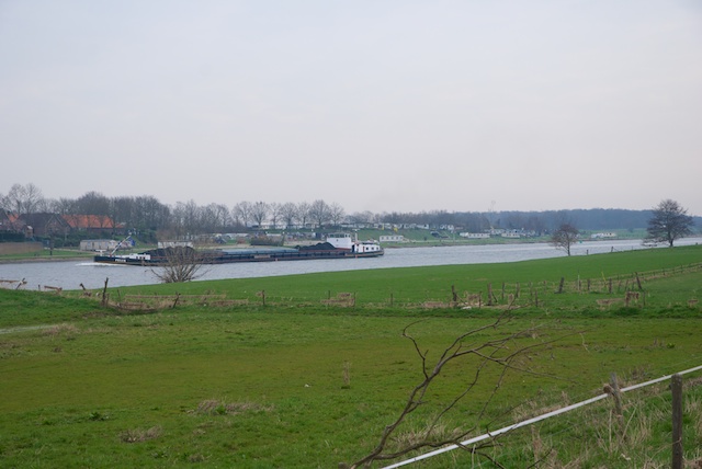 80. Maas