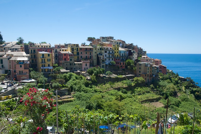 124. Corniglia