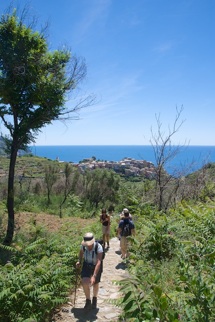 127. Corniglia*