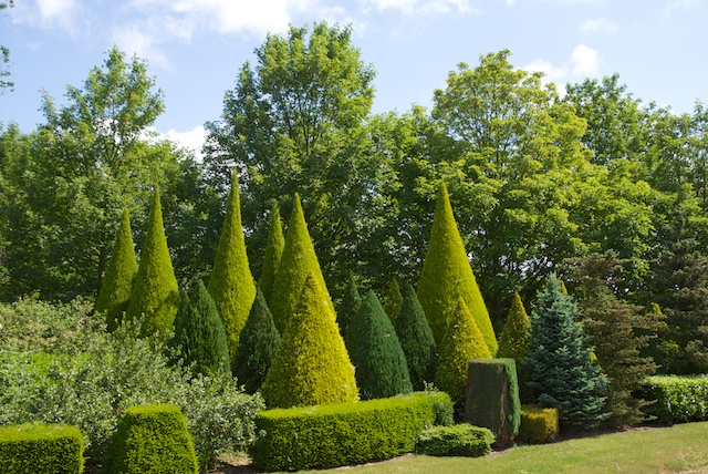 3. Tuin