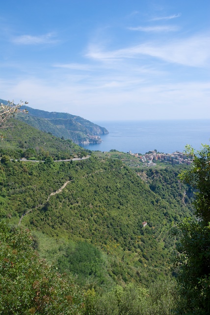 310. Corniglia*