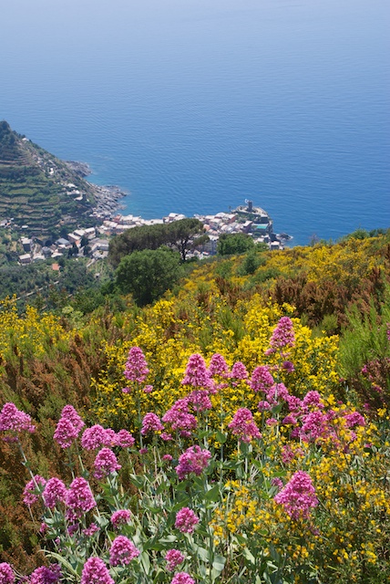 356. Vernazza*