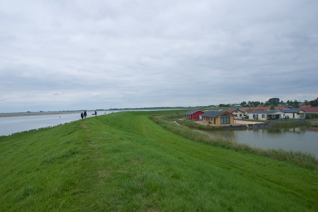 122. Grasdijk