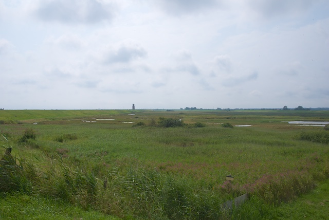 18. Stompetoren