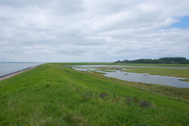 61. Dijk