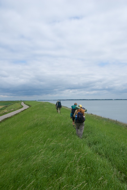 65. Grasdijk*