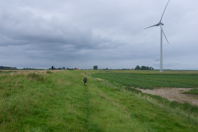 82. Grasdijk