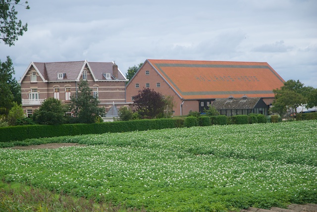 84. Hollandhoeve