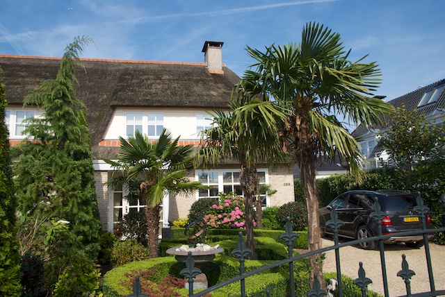 11. Huis