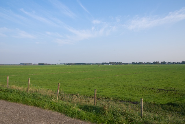 50. Landelijk