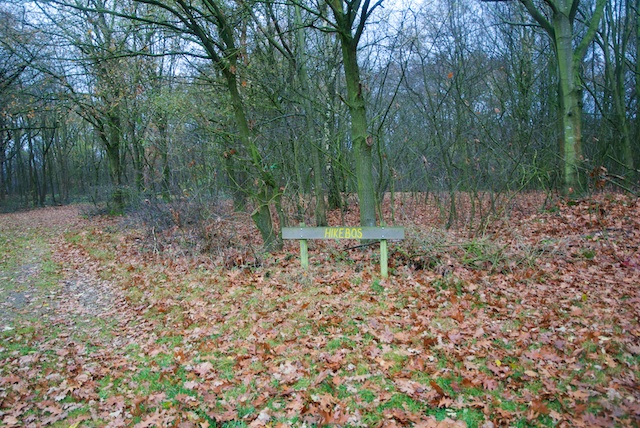124. Hikebos