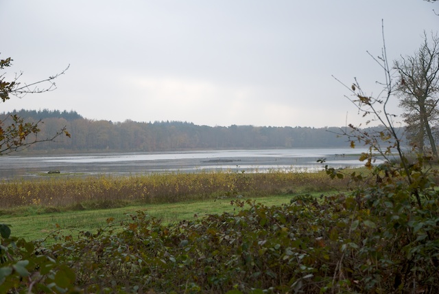 14. Venkoelen