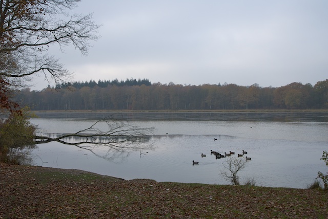 16. Venkoelen