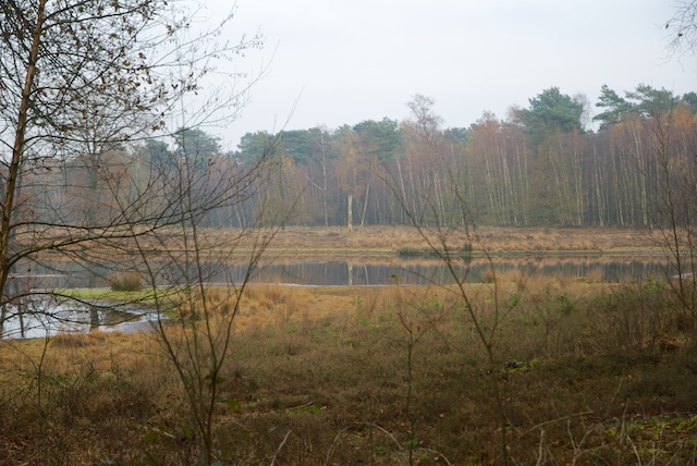 23. Ravenvennen