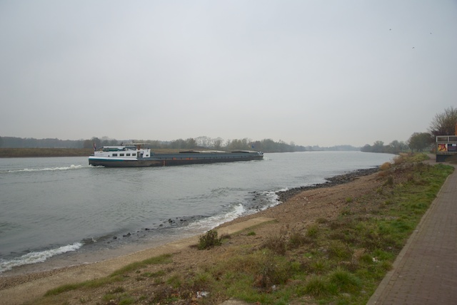 33. Maas