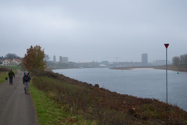 4. Maas