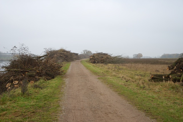 5. Gezaagd