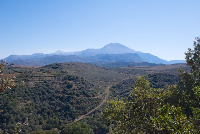 95. Psiloritis