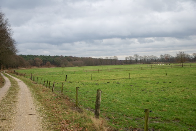 21. Gravelpad
