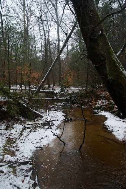 12. Beekje