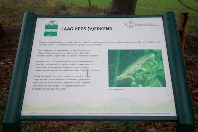 13. Laaghees