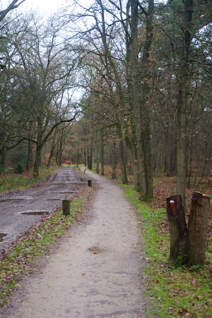 23. Gravelpad