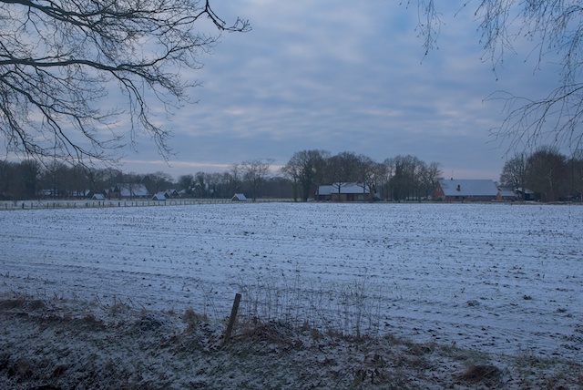 26. Landschap