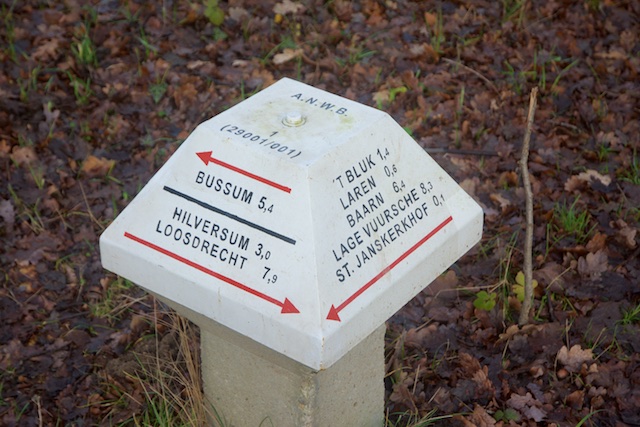 37. Paddenstoel 1