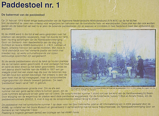38. Paddenstoel info