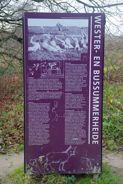 39. Westerheide