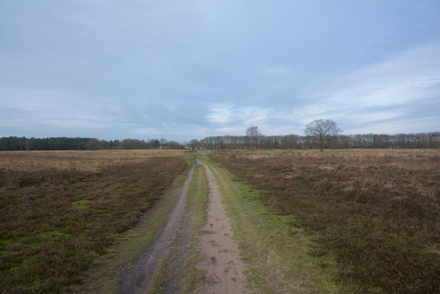 40. Westerheide