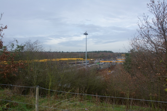 41. Natuurbrug