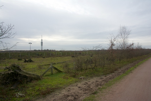 42. Strook