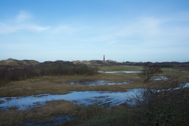 54. Westerduinen