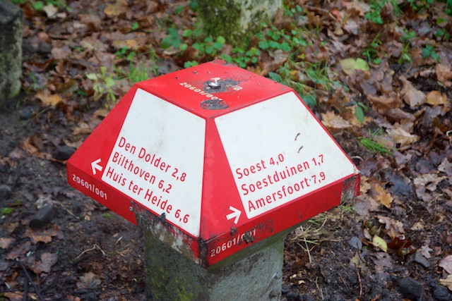 6. Paddenstoel