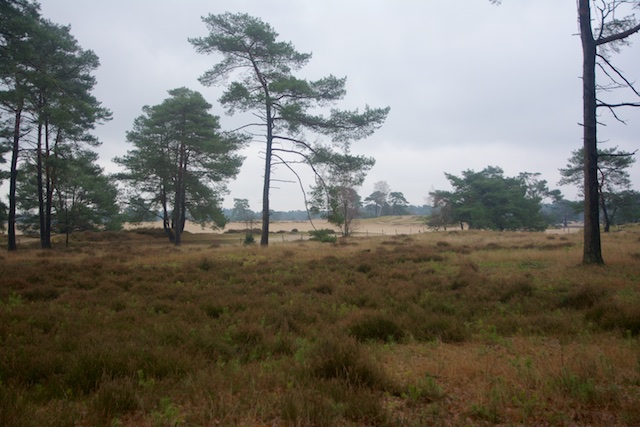 8. Zandverstuiving