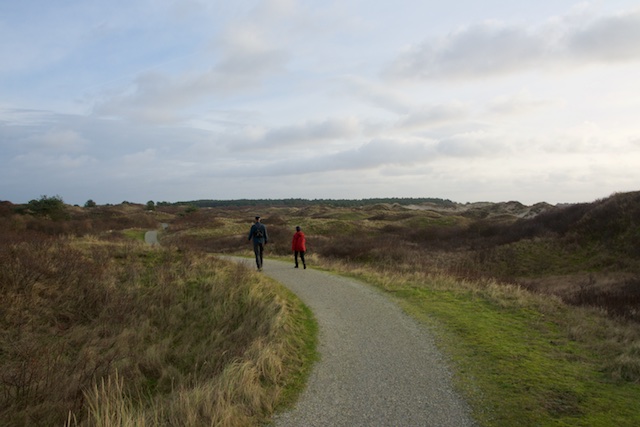 80. Noorderduinen