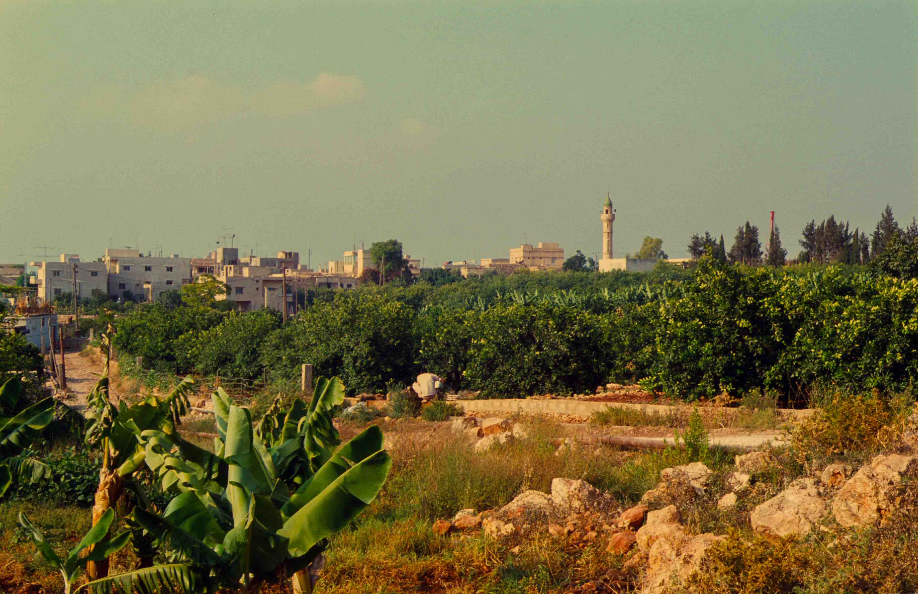 112. Libanon