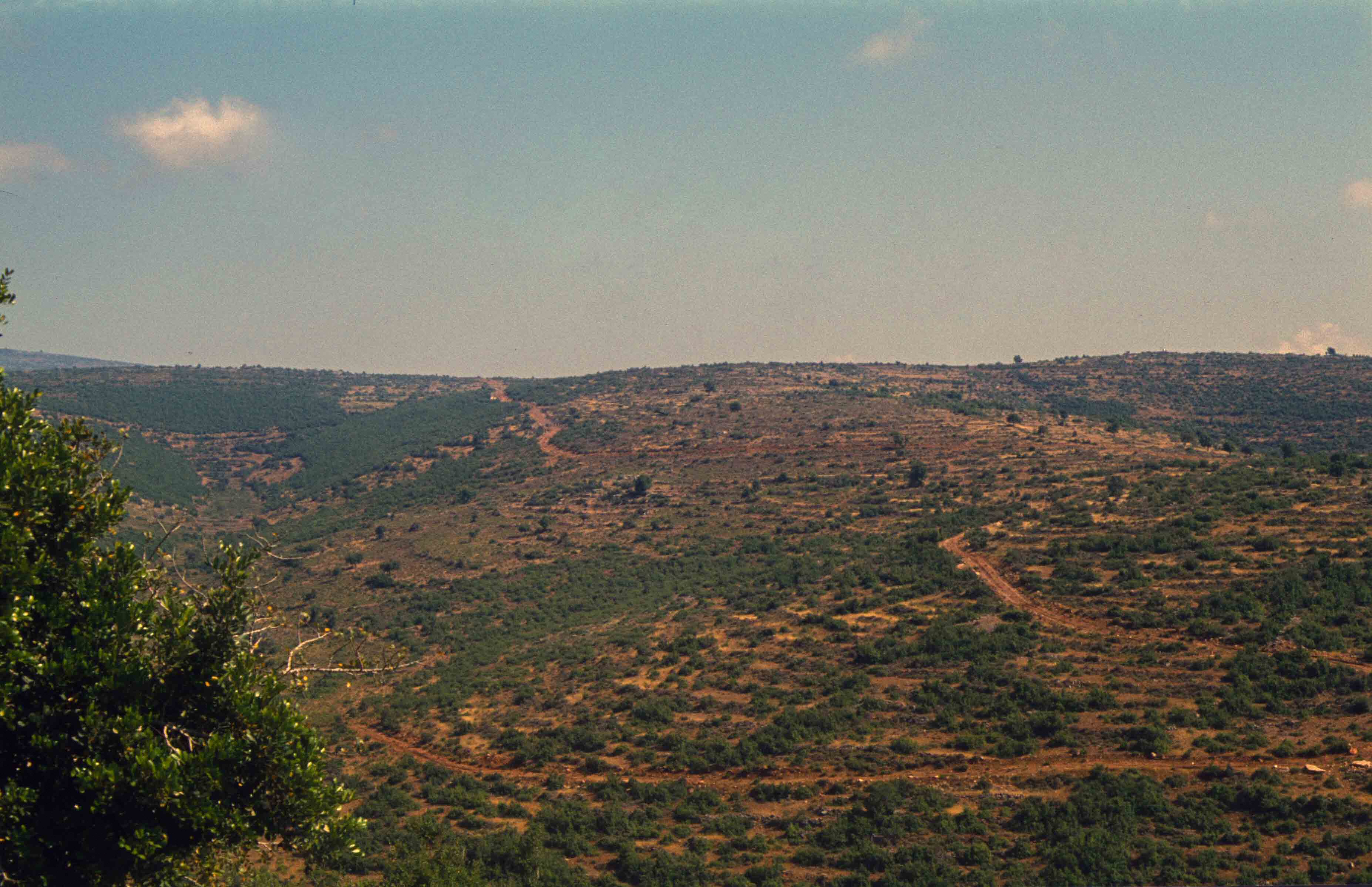 121. Libanon
