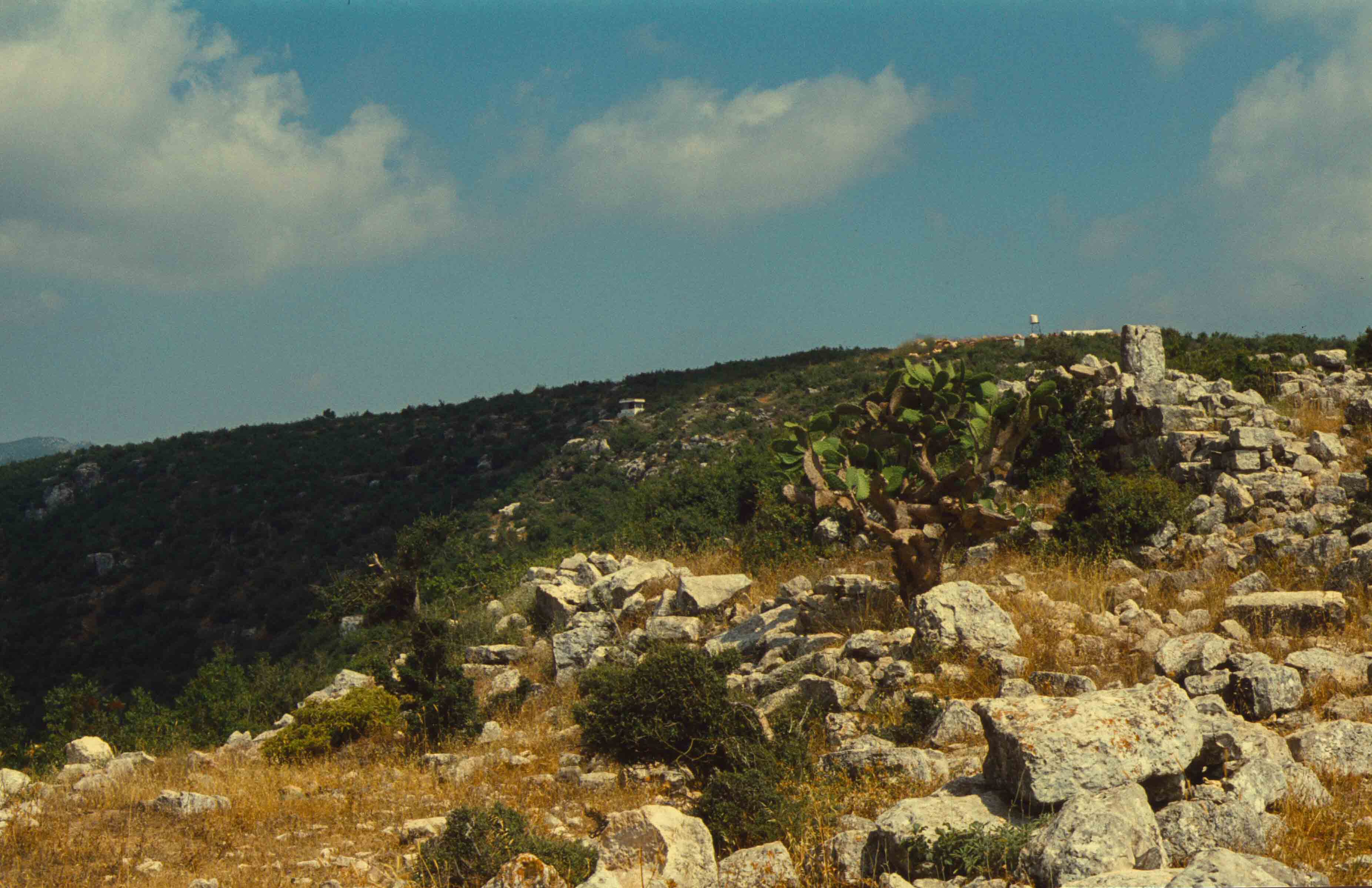 125. Libanon