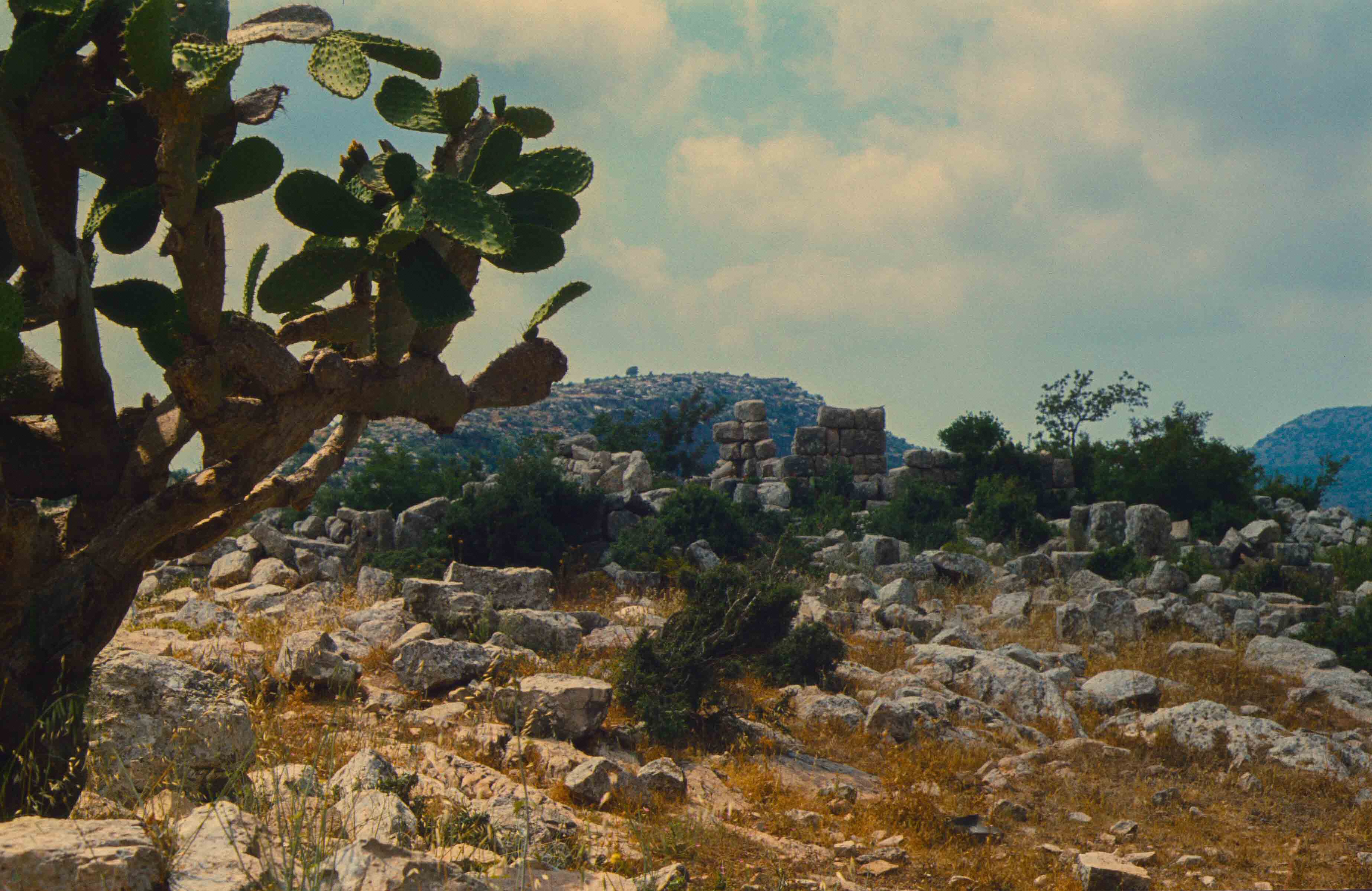 126. Libanon