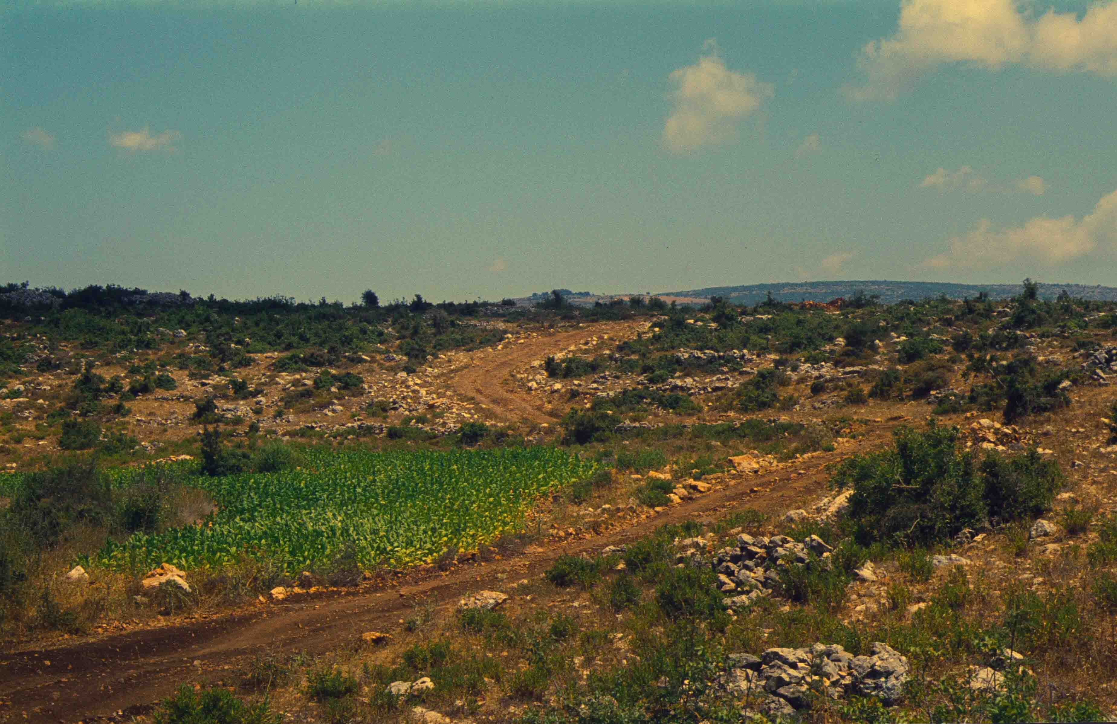 142. Libanon