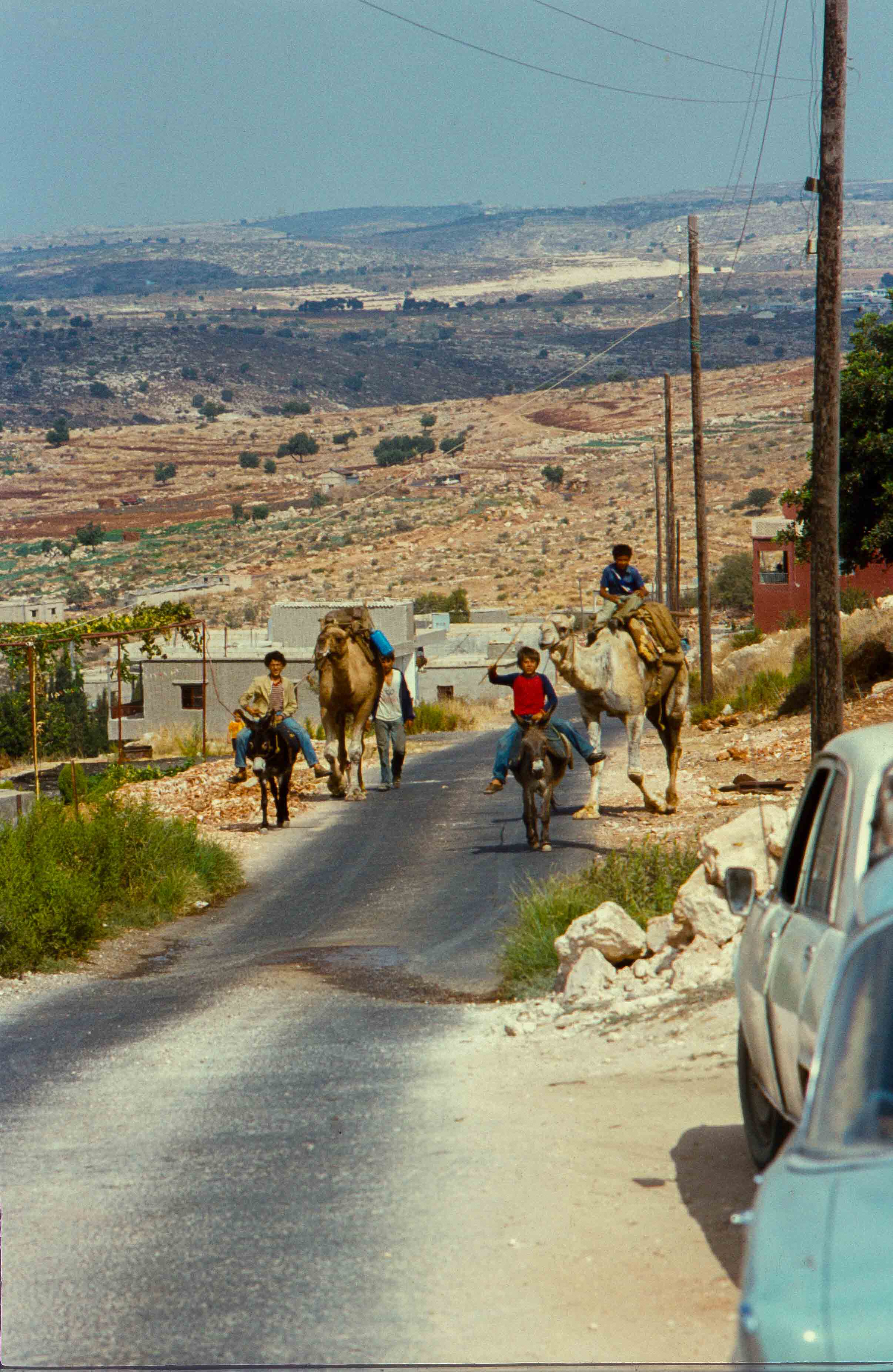 190. Libanon