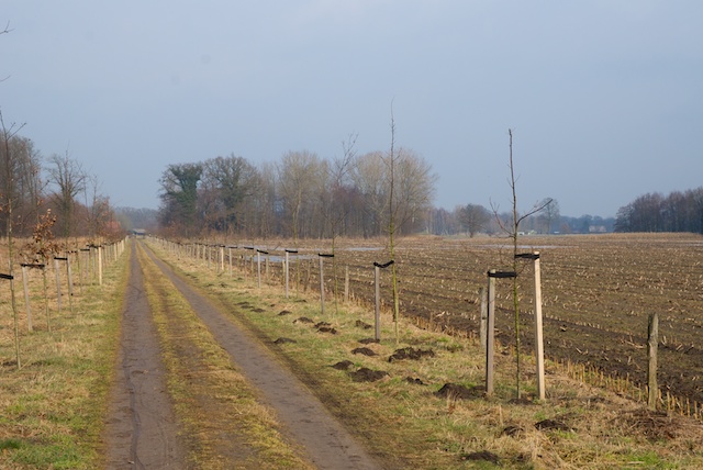 20. Landelijk