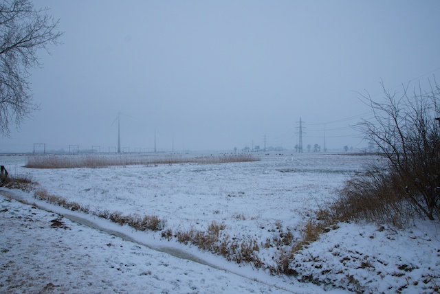 20. Sneeuw