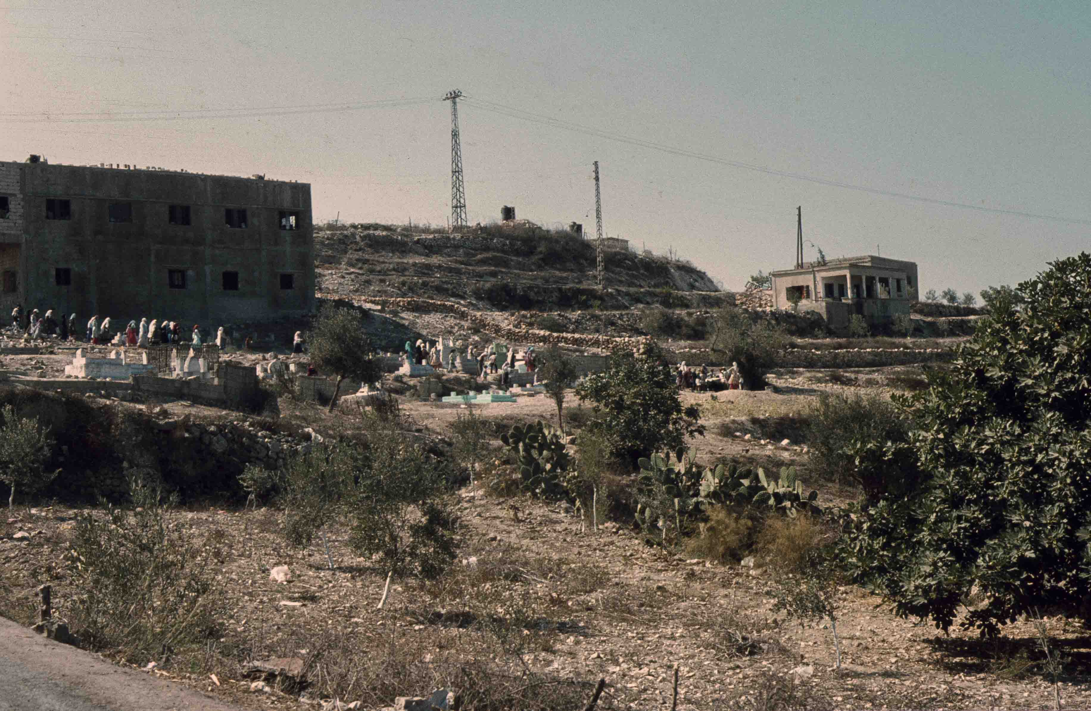 217. Libanon